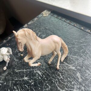 Collecta stallion
